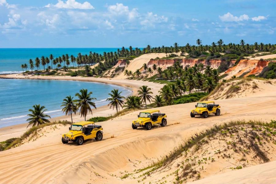  PASSEIO LAGOINHA: DUNAS, LAGOAS E BUGGY NO PARAÍSO CEARENSE